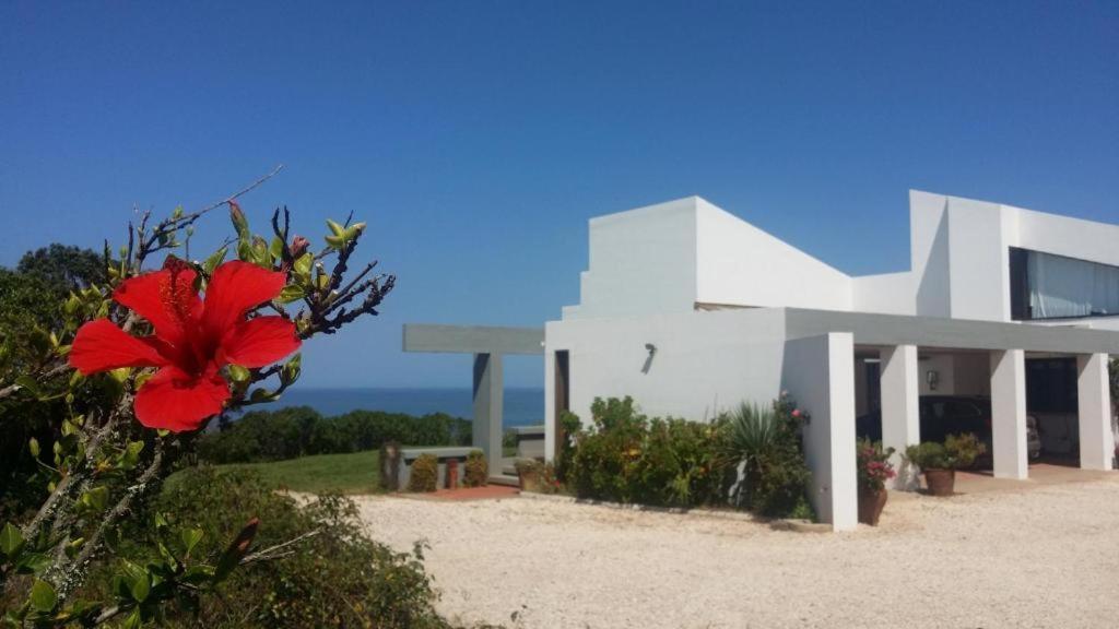 Herdade Amalia Rodrigues Zambujeira do Mar Εξωτερικό φωτογραφία